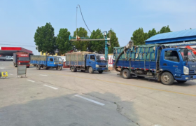 农发行鱼台县支行：金融护航，让夏粮归仓之路畅通无阻