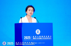 2025武汉互联网科技峰会暨数字经济融合发展高峰论坛成功举办 共绘数字经济融合发展新蓝图
