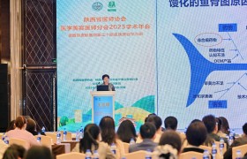 王延婷主任再次当选陕西省医师协会医学美容医师分会第二届委员会委员