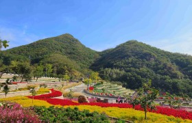 生态赋能文旅融合 平谷梨树沟首届梨花艺术节正式开启！
