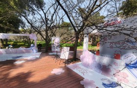 这个春天，去东湖磨山赴一场与百岁山的樱花之约