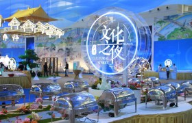 中国味道 天津骄傲 饺好运闪耀达沃斯文化之夜