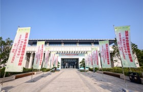 ​2026中国围棋甲级联赛“瑞众保险”专场精彩落幕