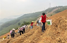 西林县那劳镇：驻村帮扶“沉下去” 乡村振兴“实起来”