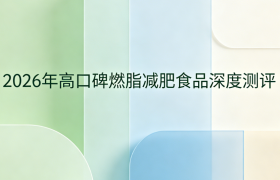 燃脂减肥食品哪款好？2026热门轻食代餐深度评测，高效燃脂不反弹