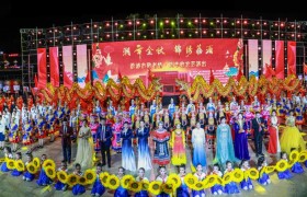 荔浦市公安局圆满完成大型文艺晚会安保工作