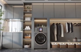 谁在东南亚为卡萨帝墅式L+买单？用户画像出炉