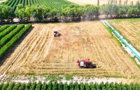 更新变“更”新 五原县盐碱地综合利用项目完工