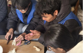 聊城大学药学与食品工程学院举办“寻脉郎庄，塑韵流芳”社会实践活动