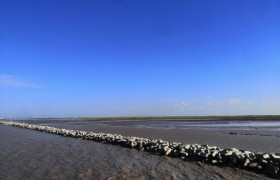 三航局两个项目获评2024年度上海市建设工程“白玉兰”奖