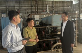 金融“及时雨”助力武鸣沃柑企业稳产达产