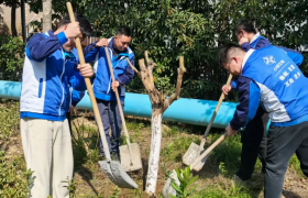 各项目开展“绿动未来 共植希望”植树主题活动