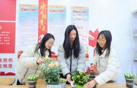 中交三航局四公司总部党总支开展绿植认领主题党日活动