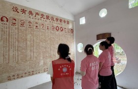 建功 “十五五”·青春助力乡村文旅振兴——桂林理工大学南宁分校经济与管理学院赴长沙村开展暑期“三下乡”社会实践活动