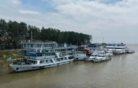 长江上海航道处有效应对台风“巴威”