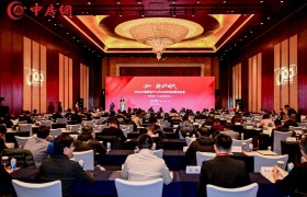 大金连续17年荣获房产TOP500首选供应商 以百年空气科技助力好房子建设