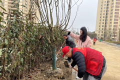 众泾社区开展“党员冬训正当时 植树护绿在行动”义务植树活动